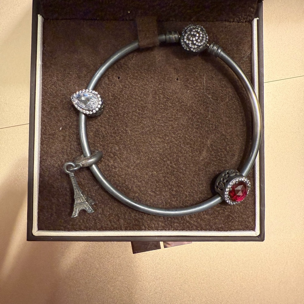 Pandora Disney Beauty and the Beast Bangle Bracelet w/ charms